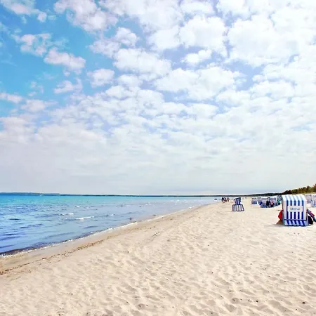 Wellenlaeufer * Glowe